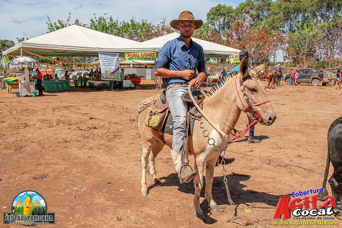 Festa da Pamonha (3 Dia)